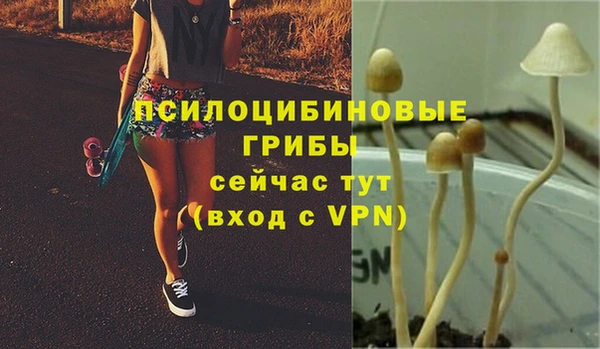 таблы Пересвет