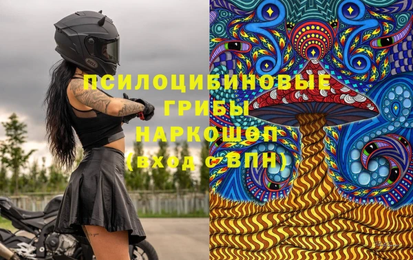 таблы Пересвет
