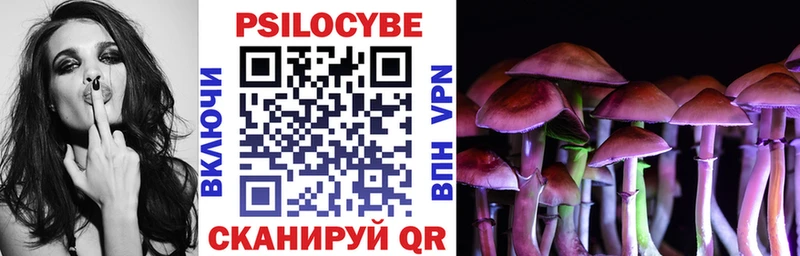 Галлюциногенные грибы MAGIC MUSHROOMS  Купить закладки  Шимановск 